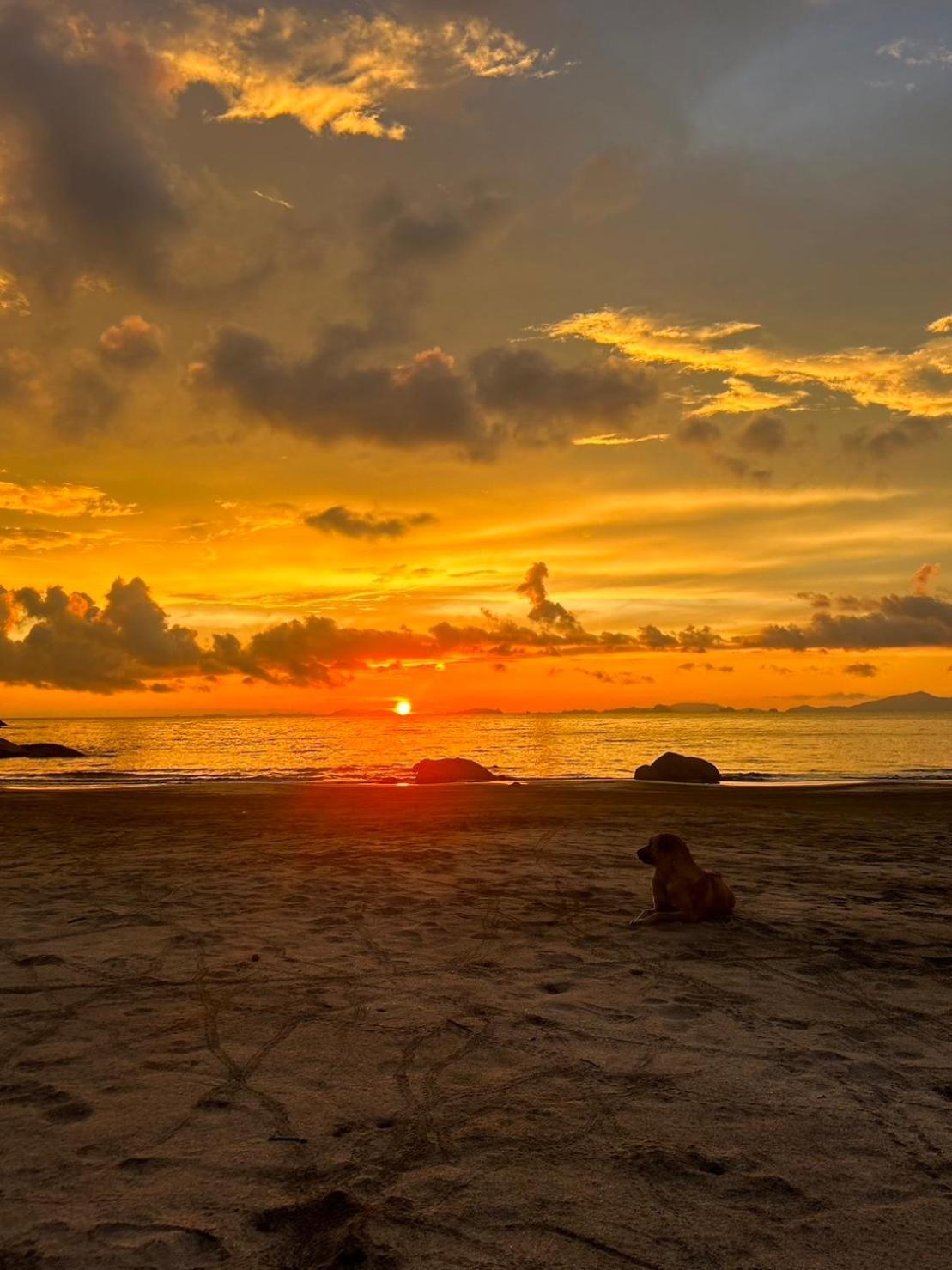 Lae Tawan Bungalow Ko Chang Bagian luar foto